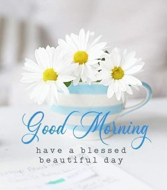 Good Morning Quotes With Flower Pictures | Best Flower Site