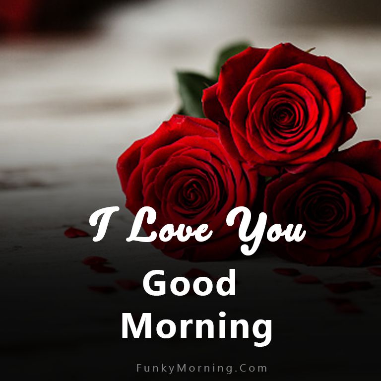 112+ Good Morning Love Images | Romantic Good Morning Love Pictures