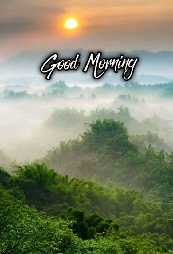 158+ Good Morning Fresh Nature Images | Nature Good Morning Pics