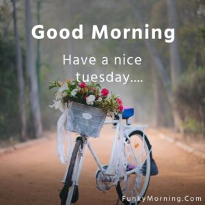 125+ Best Tuesday Good Morning Images 2023 Pics HD Download