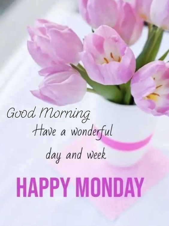 185+ Best Monday Good Morning Images | Happy Monday Good Morning Pics